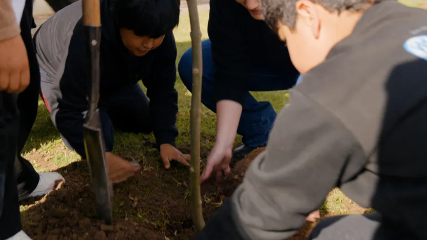 ECO HUELLAS: PLANTANDO EL FUTURO