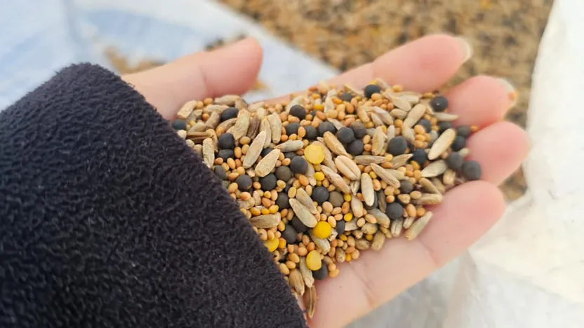 NUEVOS ENSAYOS PARA UNA AGRICULTURA MÁS SUSTENTABLE