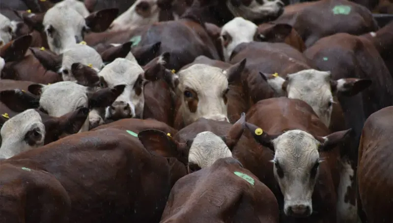 PRIMER Y SEGUNDO LUGAR PARA PRODEMAN EN FORMOSA