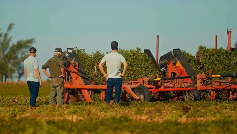 PRODEMAN FINALIZA LA ETAPA DE ARRANCADA